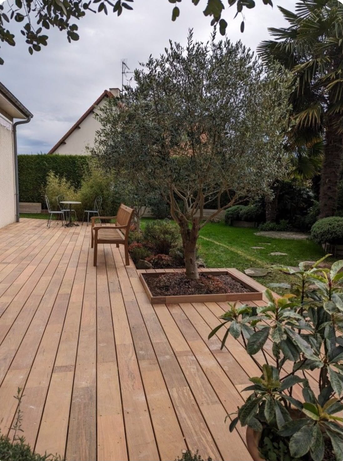 Holzterrasse im Garten mit Olivenbaum.
