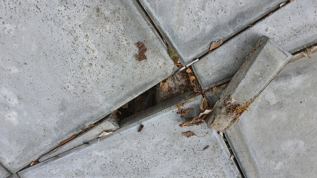 Verschobene und beschädigte Betonplatten auf der Terrasse.